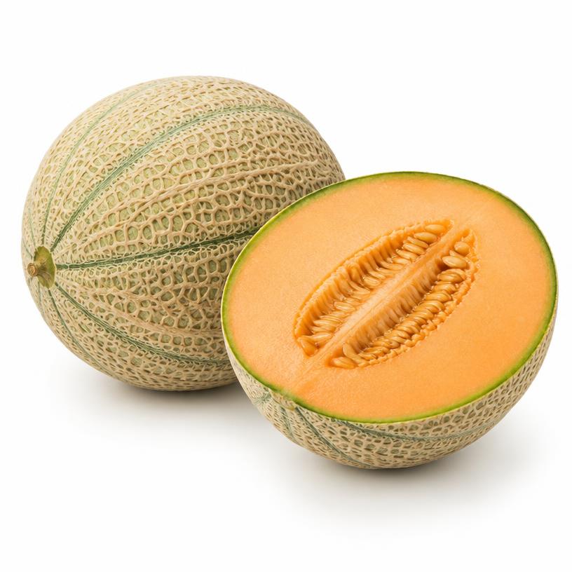 شمام (كانتالوب)