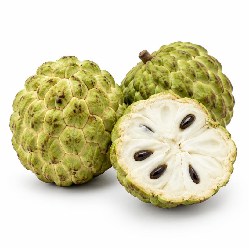 Custard Apple