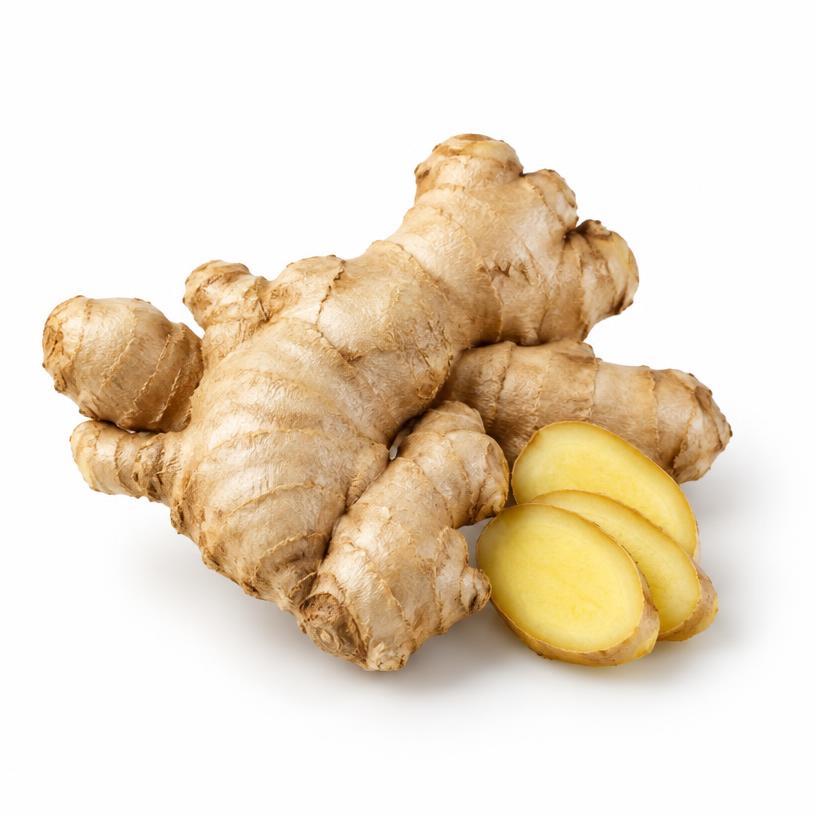 زنجبيل