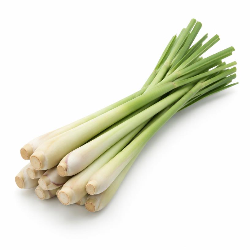 عشبة الليمون