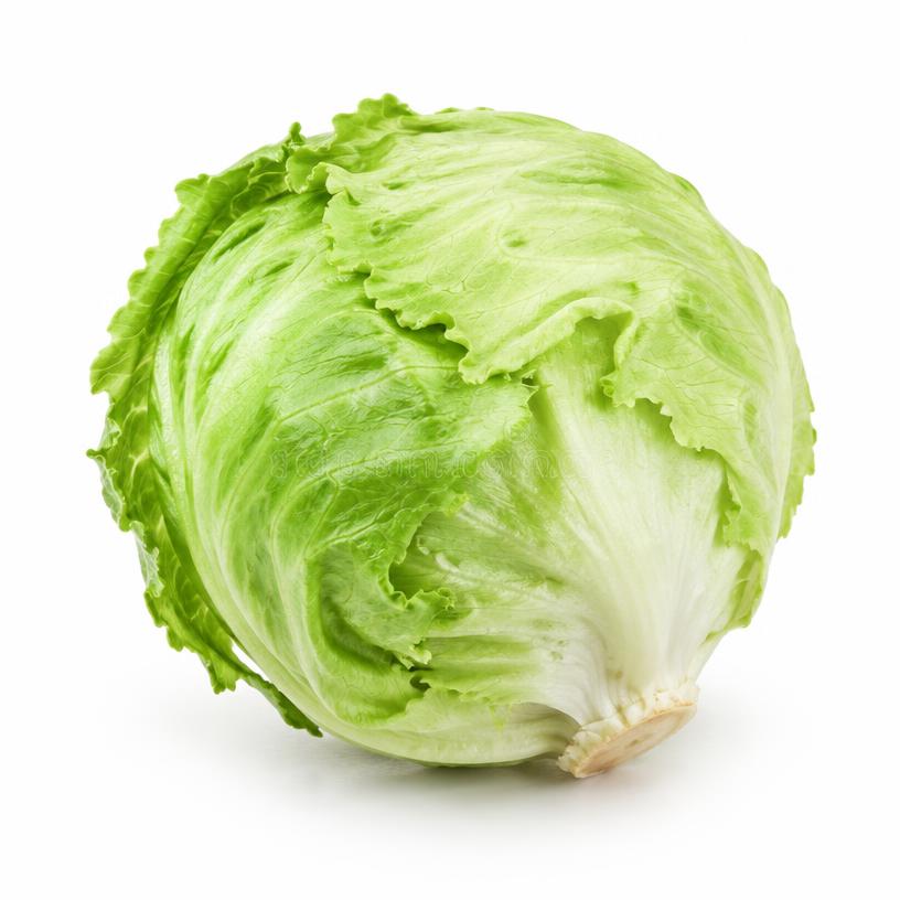 خس آيسبرغ