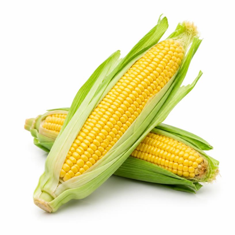 ذرة حلوة